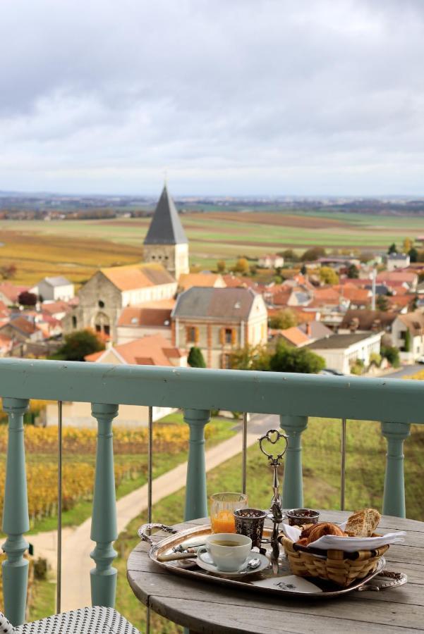 Chateau De Sacy Exterior photo